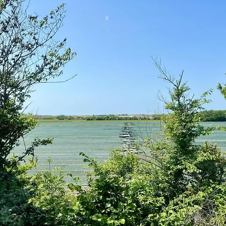 Luxurious Close To Forest, & Sea Vakantiehuis Sint Maartensvlotbrug